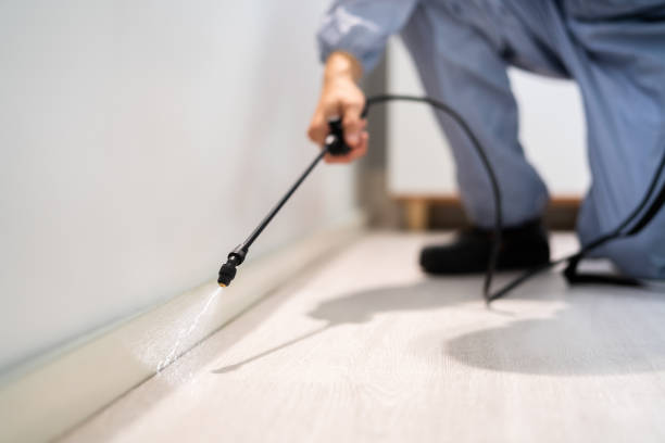 Licensed Rodent Control service in Burbank, CA - Nex Pest Control