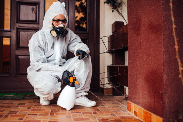 Reliable Rodent Control contractor in Burbank, CA by Nex Pest Control